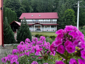 Vacation villa Sucevița